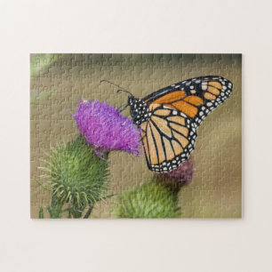 Monarch on pasture Thistle Prairie Ridge Jigsaw Puzzle