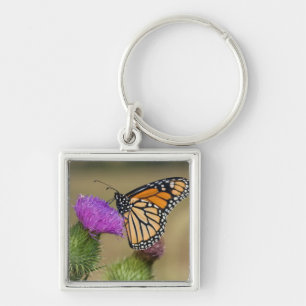 Monarch on pasture Thistle Prairie Ridge Keychain