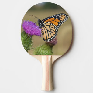 Monarch on pasture Thistle Prairie Ridge Ping Pong Paddle