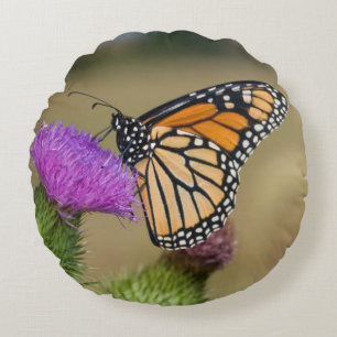 Monarch on pasture Thistle Prairie Ridge Round Pillow