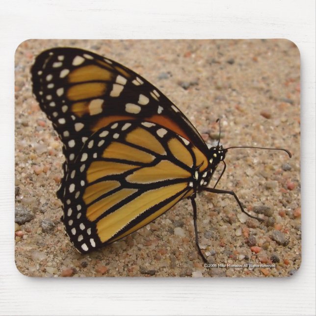 Monarch On The Road Mouse Pad (Front)
