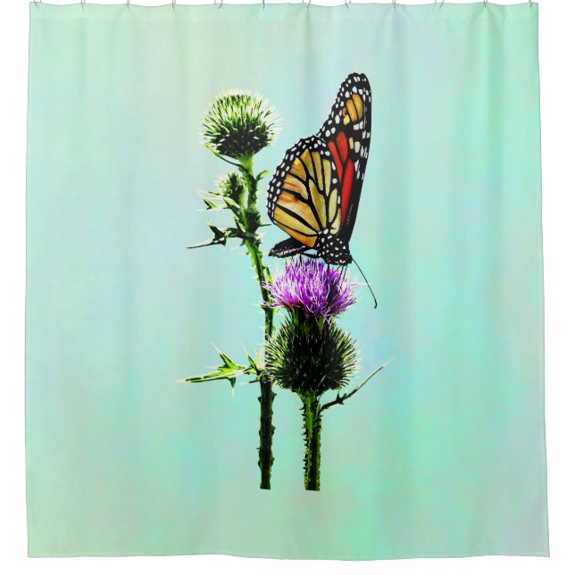 Monarch on Thistle (Front)