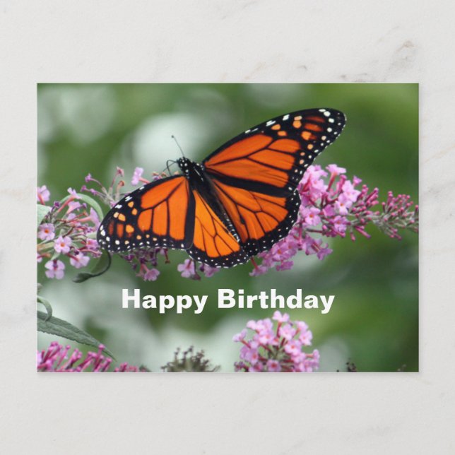 Monarch Orange Butterfly Floral Photo Birthday Postcard (Front)