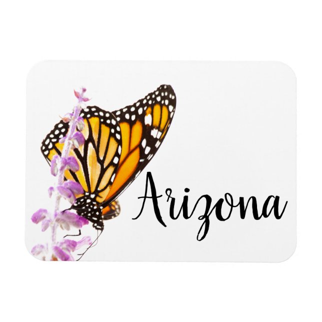 Monarch perched on lavender, Arizona Magnet (Horizontal)