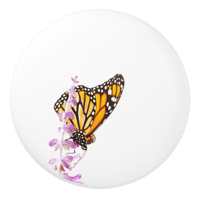 Monarch perched on lavender ceramic knob (Front)
