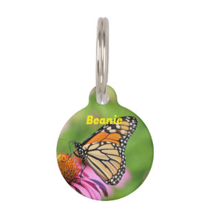 Monarch Pet Tag