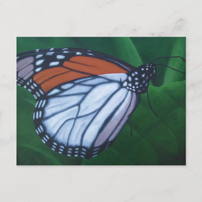 Monarch Postcard (Front)