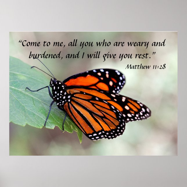 Monarch resting Matthew 11:28 Poster (Front)