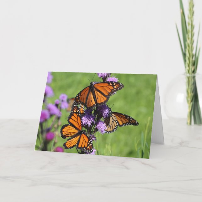 Monarch Trio Card (Front)