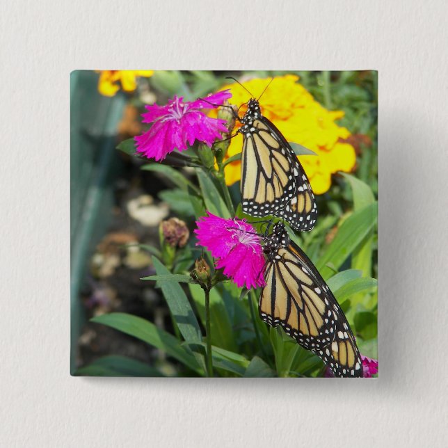 Monarch Twins #2-button 2 Inch Square Button (Front)