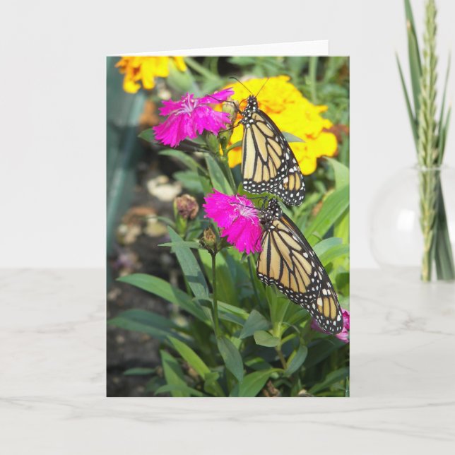 Monarch Twins #2-Greeting Card (Front)