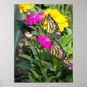 Monarch Twins #2-poster Poster