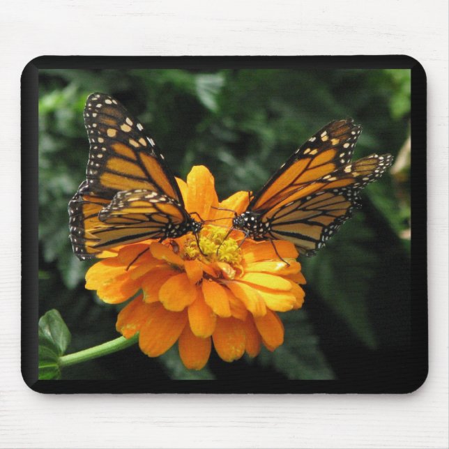 Monarchs Mouse Pad (Front)