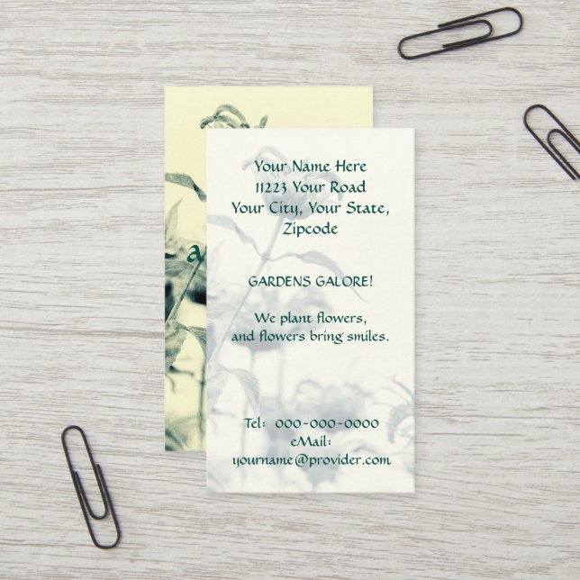Monarda or Bee Balm Business Card (Front/Back In Situ)