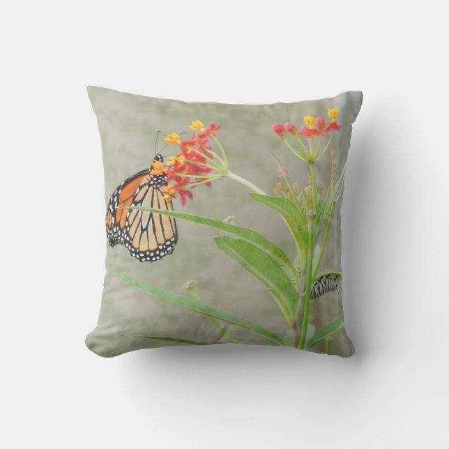 Monarque papillon et Coussin Caterpillar (Recto)
