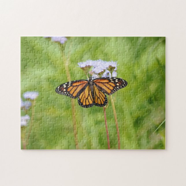 Monarque papillon Fleur sauvage Puzzle de la natur (Horizontal)