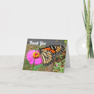 Monarque Siping rose Zinnia Carte de remerciements