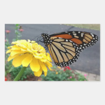 Monarque sur Sticker Rectangulaire Zinnia Jaune
