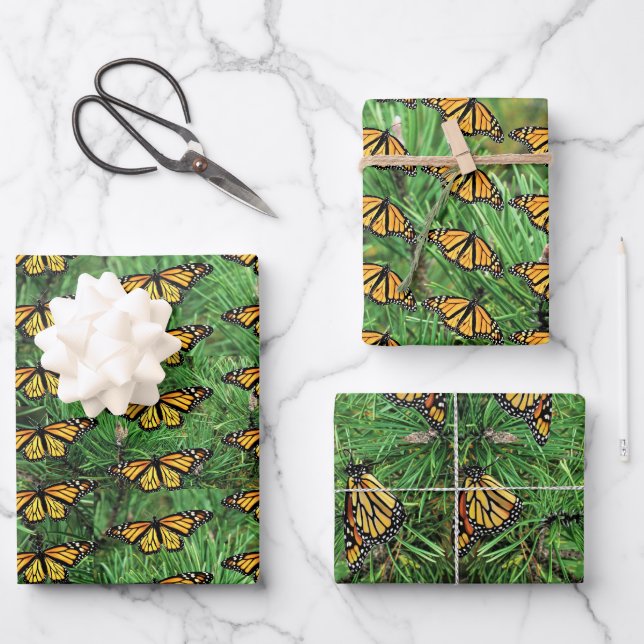 Monarques de papier d'emballage cadeau sur Boughs  (Recto)