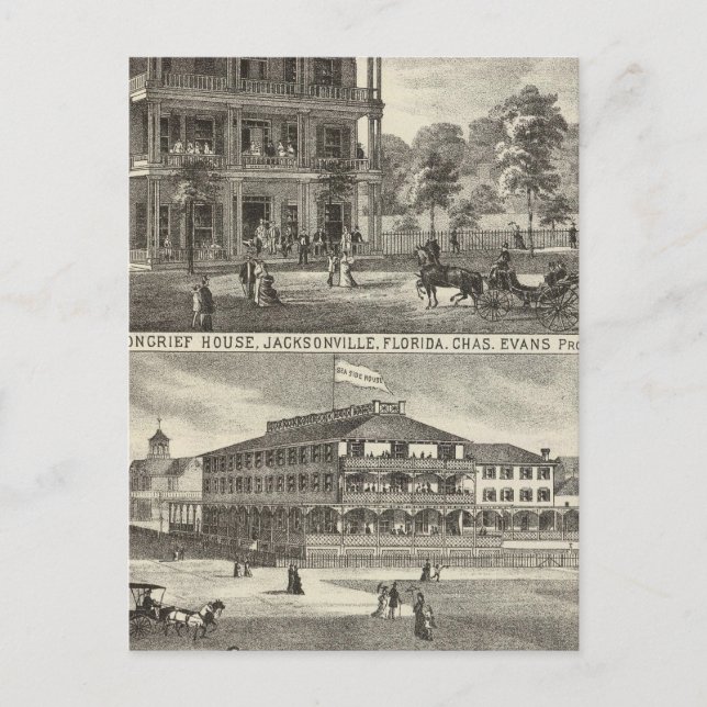 Moncrief House, Jacksonville Postcard (Front)
