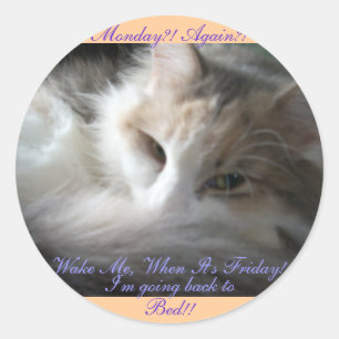 Monday Again?, Wake Me When It's Friday Classic Round Sticker