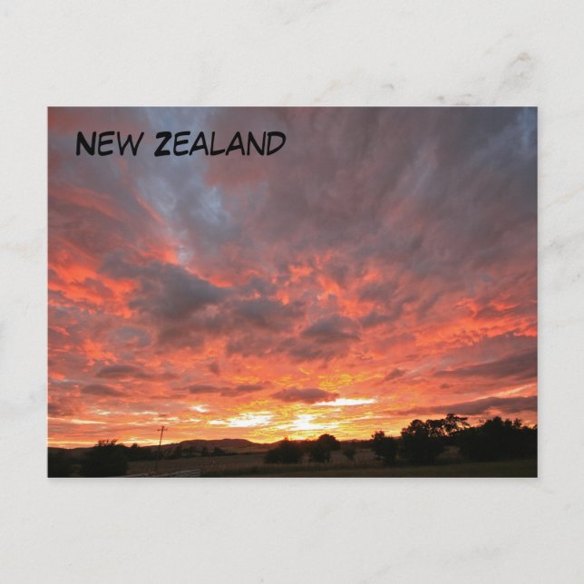 Monday Sunrise Postcard (Front)