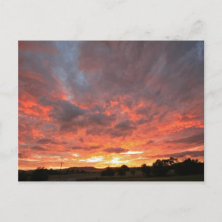 Monday Sunrise Postcard