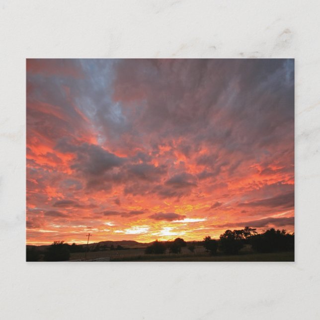 Monday Sunrise Postcard (Front)