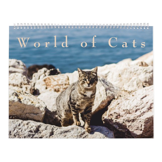 Monde de calendrier de chats (Protection)