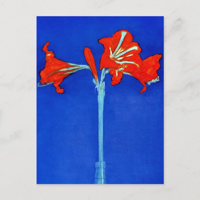 Mondrian Amaryllis Postcard (Front)