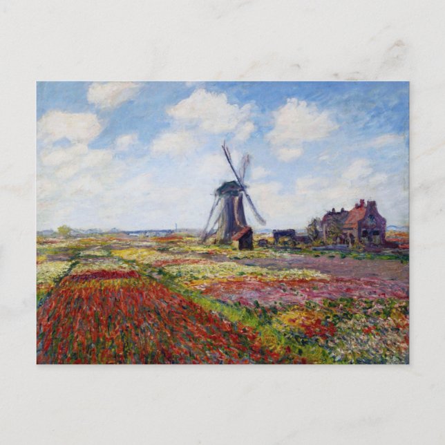 Monet Field of Tulips With Windmill Postcard (Front)