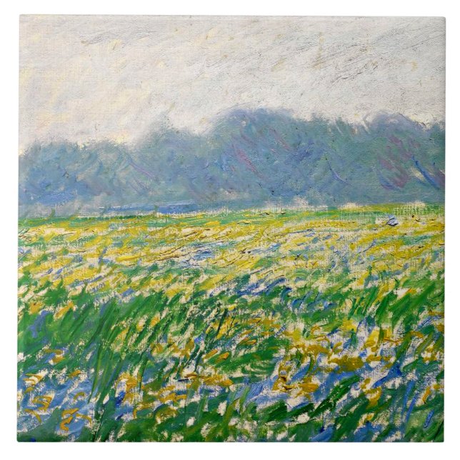 Monet - Iris field at Giverny Tile (Front)