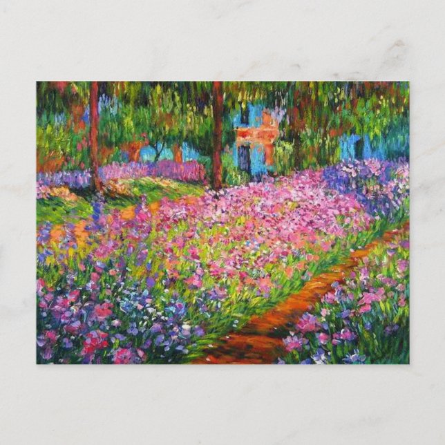Monet Iris Garden Design with Pink Background Postcard (Front)
