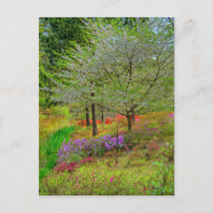 Monet Landscape Postcard