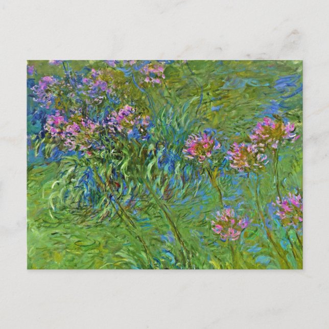 Monet's Agapanthus Flowers Postcard (Front)
