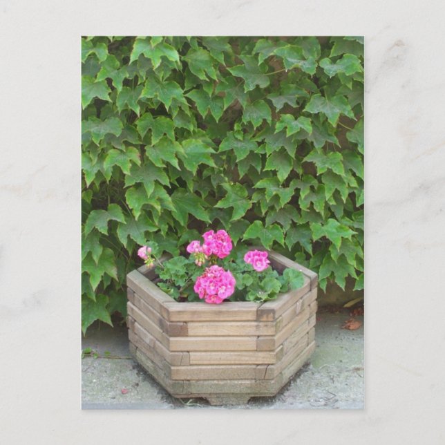 Monet's flowers postcard (Front)