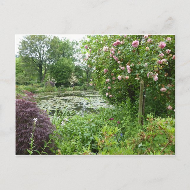 Monet's Garden Postcard (Front)