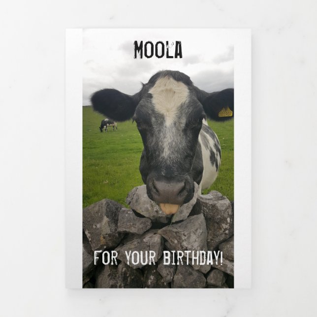 Money Birthday card - Flap folds around money (Cover)