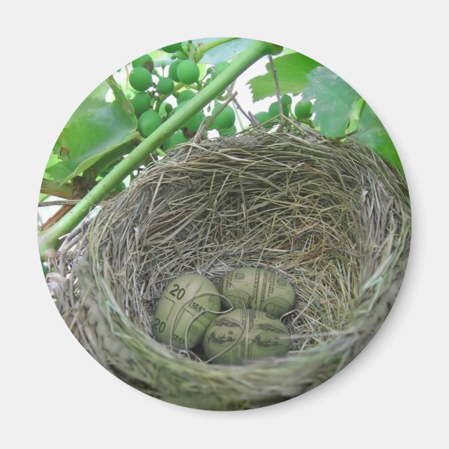 Money Nest Eggs Magnet (Front)