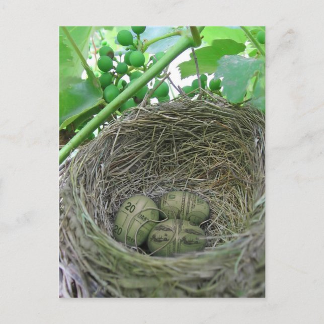 Money Nest Eggs Postcard (Front)