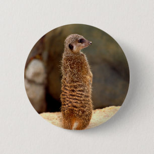 Mongoose10 2 Inch Round Button