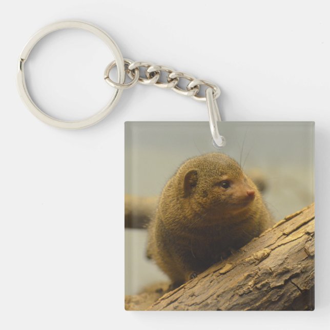 Mongoose a Tree Branch Keychain (Front)