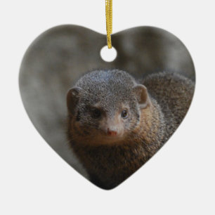 Mongoose Ornament