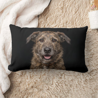 Mongrel dog isolated on black background lumbar pillow