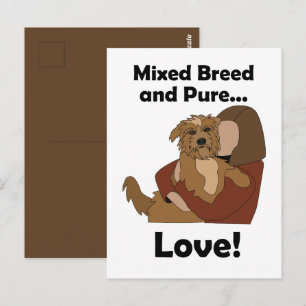 Mongrel Dog Mixed Breed Pure Love Pet Birthday  Postcard
