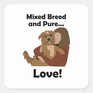 Mongrel Dog Mixed Breed Pure Love Pet Birthday  Square Sticker