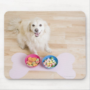 mongrel sitting in front of two bowls with dog mouse pad