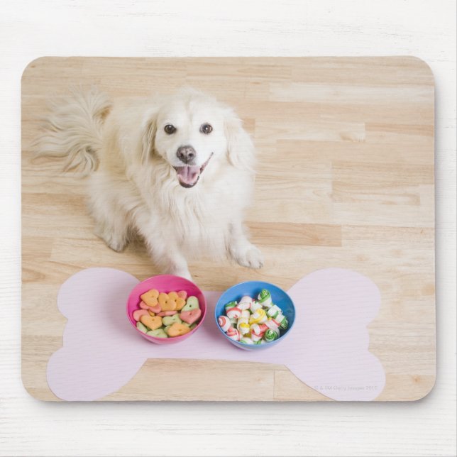 mongrel sitting in front of two bowls with dog mouse pad (Front)