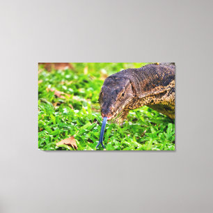 Monitor Lizard Canvas Print
