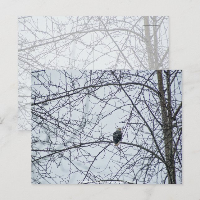 Monitoring Postcard (Front/Back)